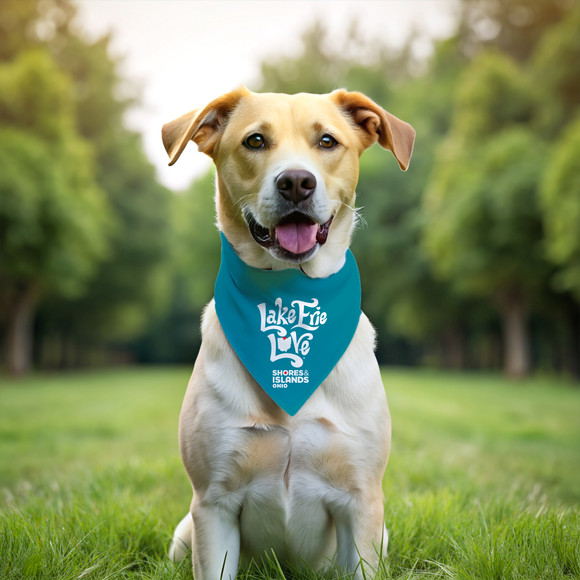 Lake Erie Love - Shores and Islands Ohio - Dog Triangle Bandana