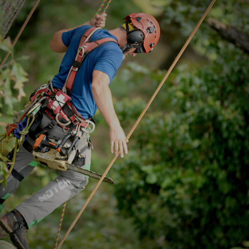 Tree Rigging Zipline Rock Climbing Arborist Tree Climb Rope Pulley Gear Safety 
