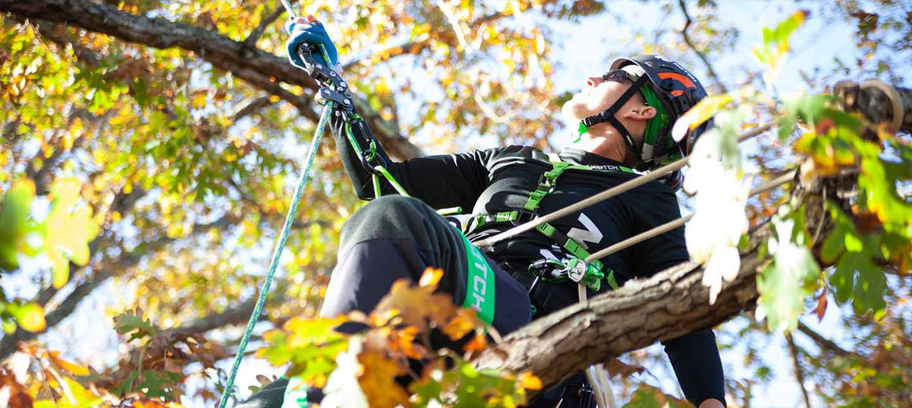 Get the most out of your Notch Glide Rope Grab Sherrilltree