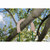 Product thumbnail view 2