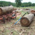 Product thumbnail view 2