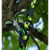 Product thumbnail view 6