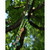 Product thumbnail view 7