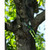 Product thumbnail view 5
