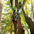 Product thumbnail view 7