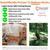 Product thumbnail view 3