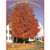 Product thumbnail view 1