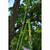 Product thumbnail view 3
