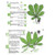 Product thumbnail view 2