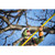 Product thumbnail view 6