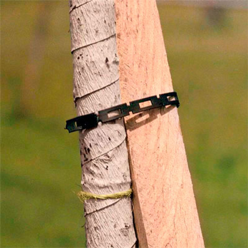 Pro Lock 1in Chain-Lock Tree Tie 100ft