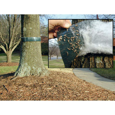 Active slide of Bug Barrier Tree Band 30ft Kit