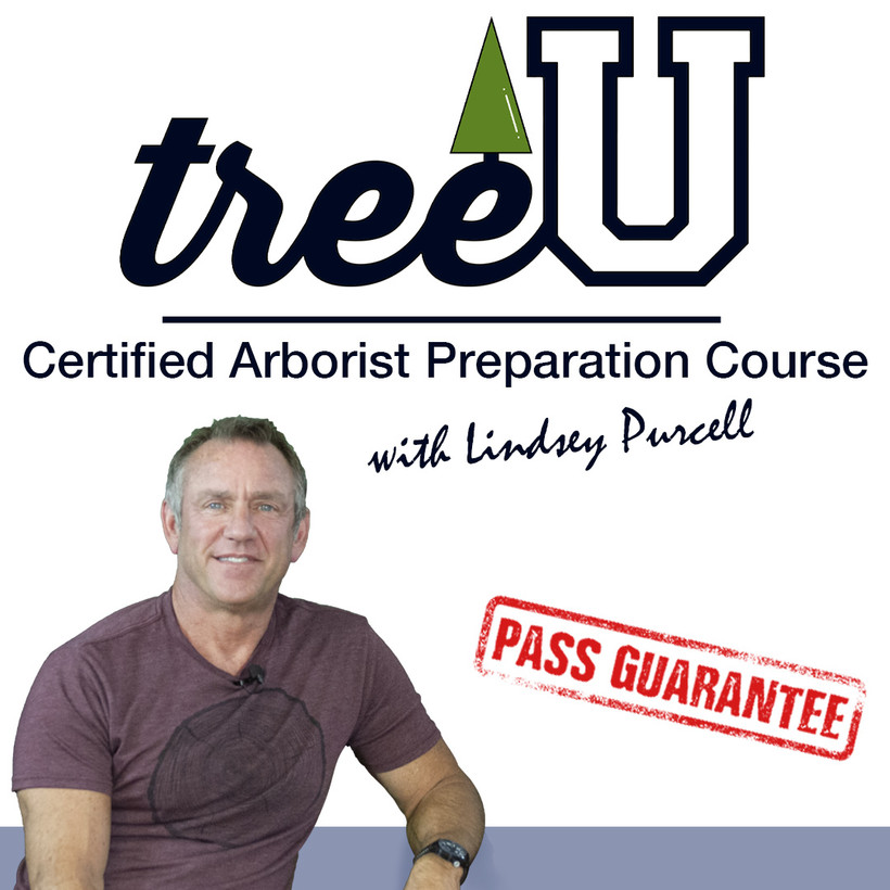 TreeU Certified Arborist Prep Course with Lindsey Purcell