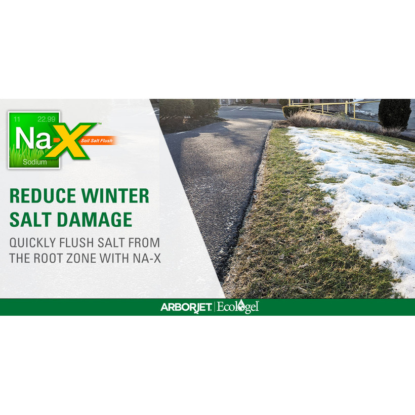 Active slide of Arborjet Na-X (5-0-0-12Ca) - 2.5 Gallons
