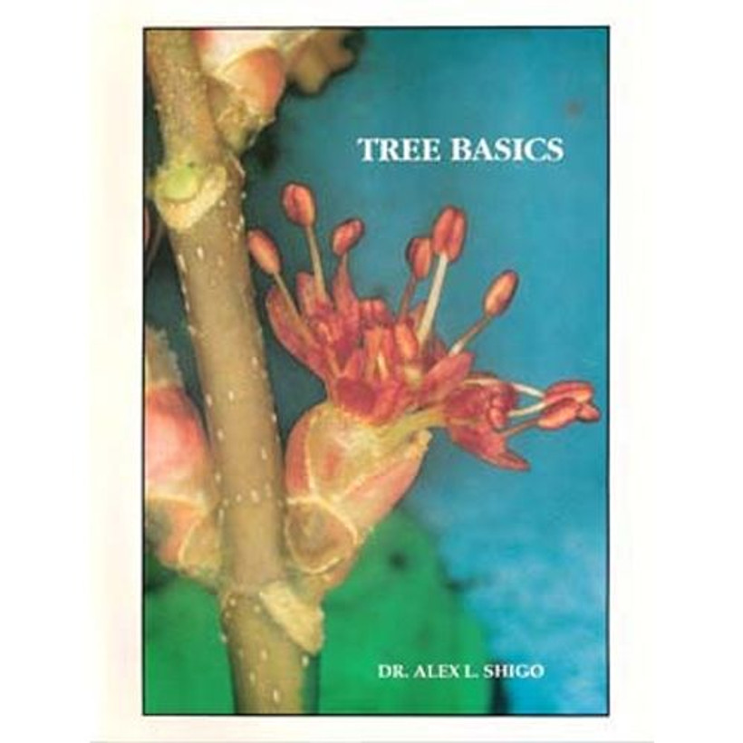 Active slide of Tree Basics