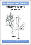 Active slide of Best Management Practices - Utility Pruning of Trees