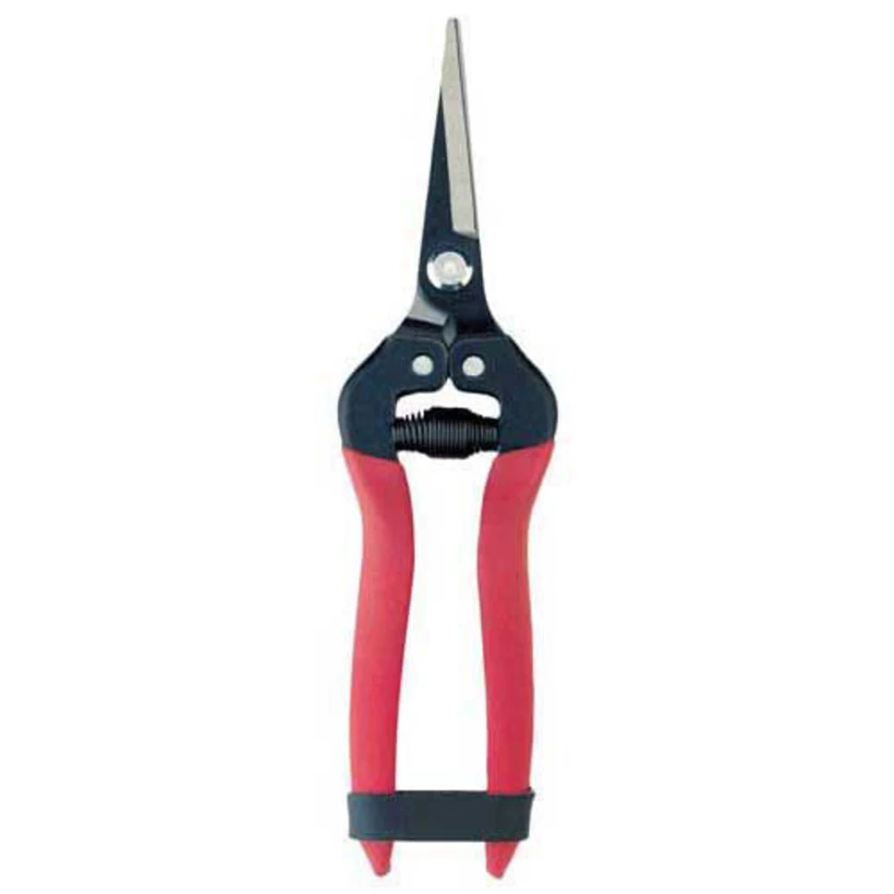 Active slide of Corona Snips  w/ Long Straight Blade