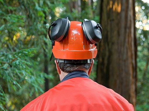 Elvex Pro-Guard Integrated Logger System | Sherrilltree