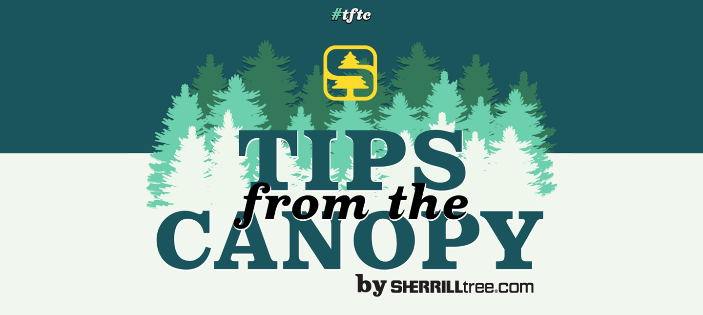 https://cdn11.bigcommerce.com/s-pzbxtrik92/product_images/uploaded_images/tipsfromthecanopy-cover.png