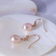 Tory Burch Freshwater Rose Gold Pearl Hook Drop Earrings