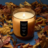Autumn Leaves and Plum 12oz Candle | Amber