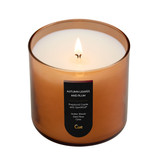 Autumn Leaves and Plum Candle
