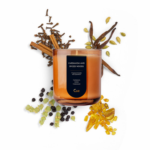 Cardamom and Spiced Woods 12oz Candle | Amber Cardamom and Spiced Woods 12oz Candle | Amber