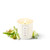 Bamboo and Moss Candle