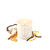 Coconut Teakwood Candle