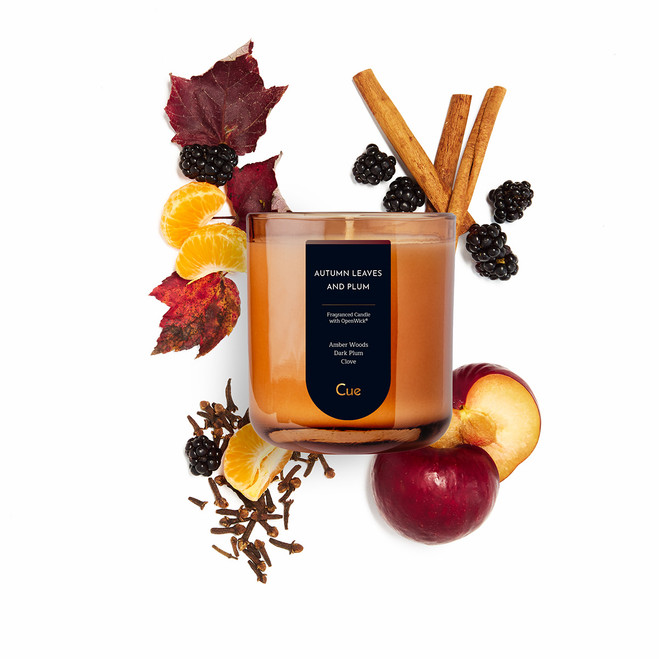 Autumn Leaves and Plum 12oz Candle | Amber Autumn Leaves and Plum 12oz Candle | Amber