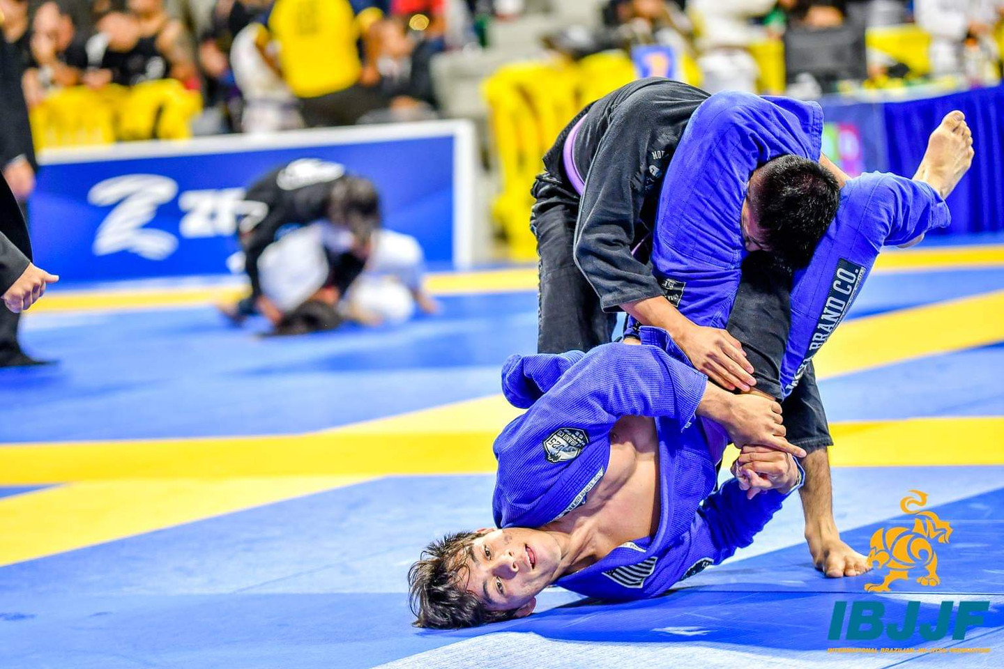 Josh Cisneros - Rising Star - Elite Team Visalia, California (Tom Knox Jiu Jitsu)