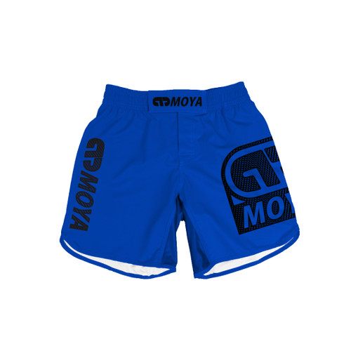 26 BLUE TRAINING SHORTS