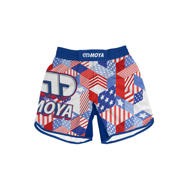 STARS & STRIPES TRAINING SHORTS