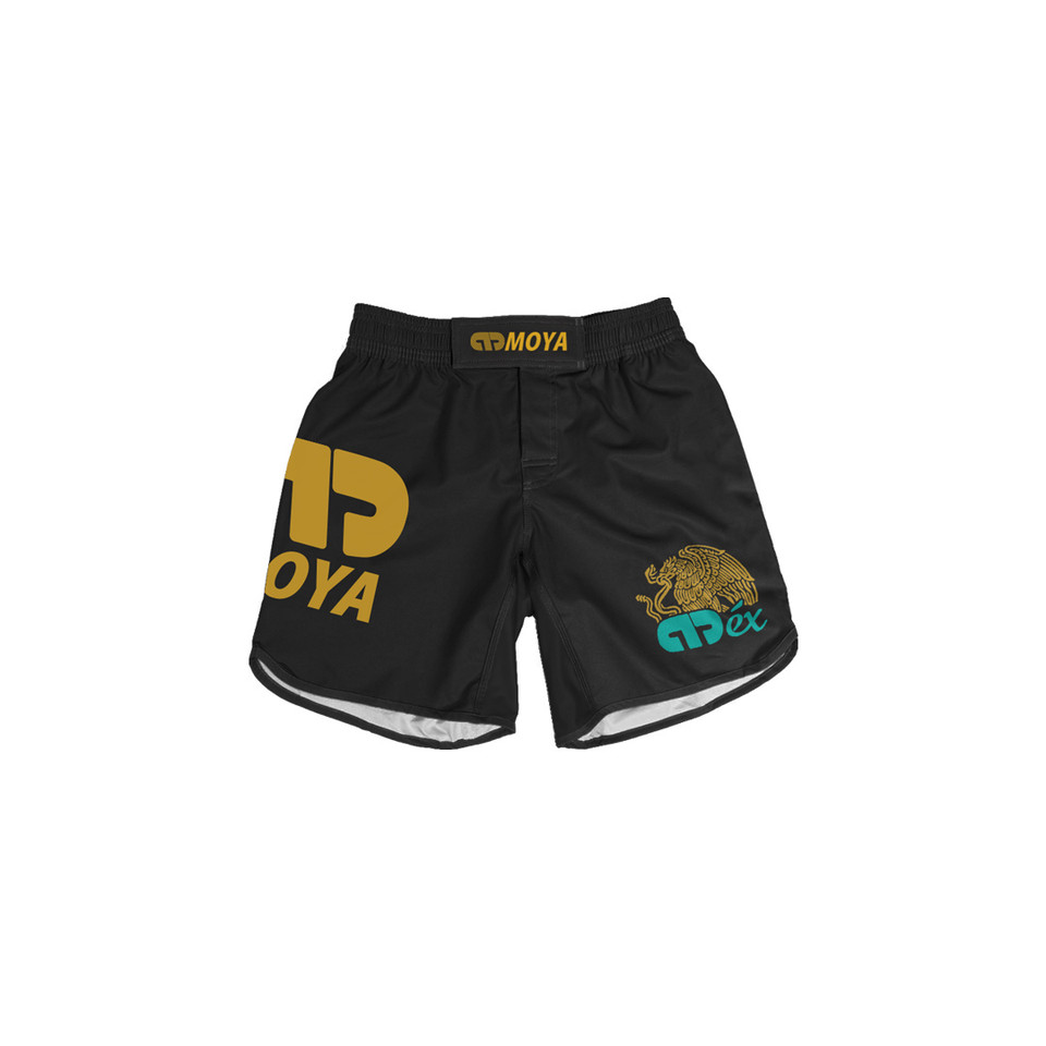 TENOCH V KIDS TRAINING SHORT