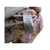 NEXT Pink Floral Long Sleeve Top – Age 3 Girls | Pretty & Comfy | Pre-Loved & Adorable