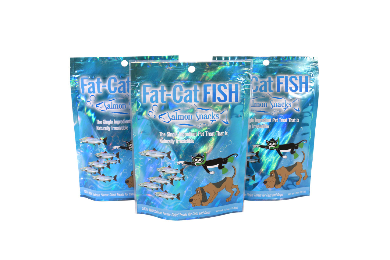 fat cat fish food