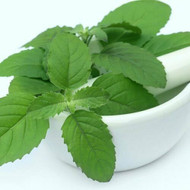 Tulsi the "Holy Basil" and it's everyday use