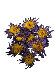 Blue Lotus Flowers were an important part of ancient Egyptian spiritual practices. It was used to make a potent wine for ceremonies as means to connect with the divine.   With its sedative and stimulating properties, Blue Lotus Flower is a great tool for divinatory and lucid dreaming, can also help with insomnia. These same properties are why it's considered a potent aphrodisiac. Blue Lotus Flower is best used as a tea or ground into a smoke blend.