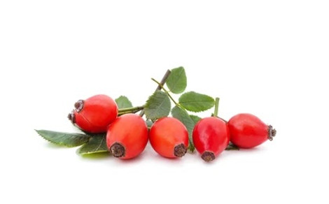 Rose Hips...beauty and immunity