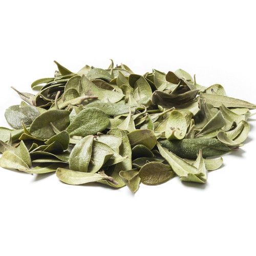 Photo 71177615 © Ognianmedarov Dreamstime.com