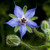 Photo 15961822 © Brandon Blinkenberg-Dreamstime