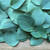 Eucalyptus Leaf, powder 1/2 oz