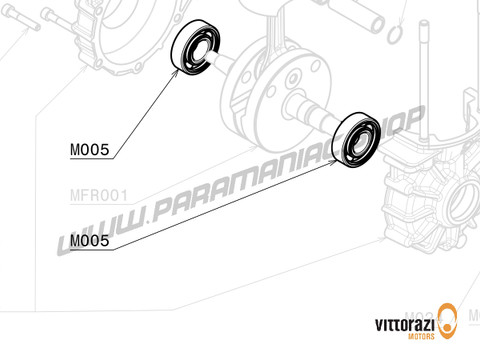 Vittorazi Moster 185 Factory MY25 - M005 - Lager 47/20/14 mm - C3 (Set von 2) - Vittorazi Motors | Paramaniac Shop