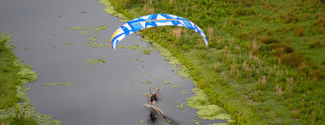 BGD Typhoon - BGD | Paramaniac Shop