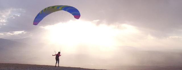 BGD Seed - BGD | Paramaniac Shop