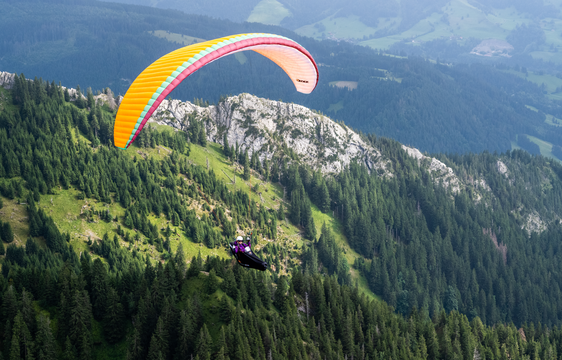 Dudek Optic 2 Light - Dudek | Paramaniac Shop