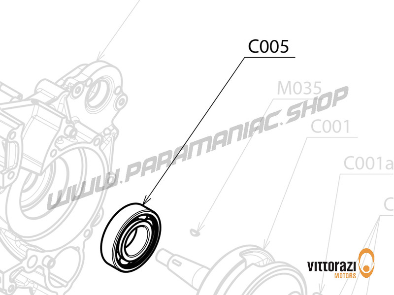 Vittorazi Cosmos 300 - C005 - Bearing 30/62/16 mm - C3 (Set of 2)