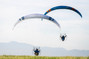 Ozone Viper 6 Hochleister Motorschirm für Paramotor DGAC von Paramaniac.shop