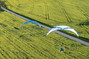 Ozone Viper 6 Hochleister Motorschirm für Paramotor DGAC von Paramaniac.shop