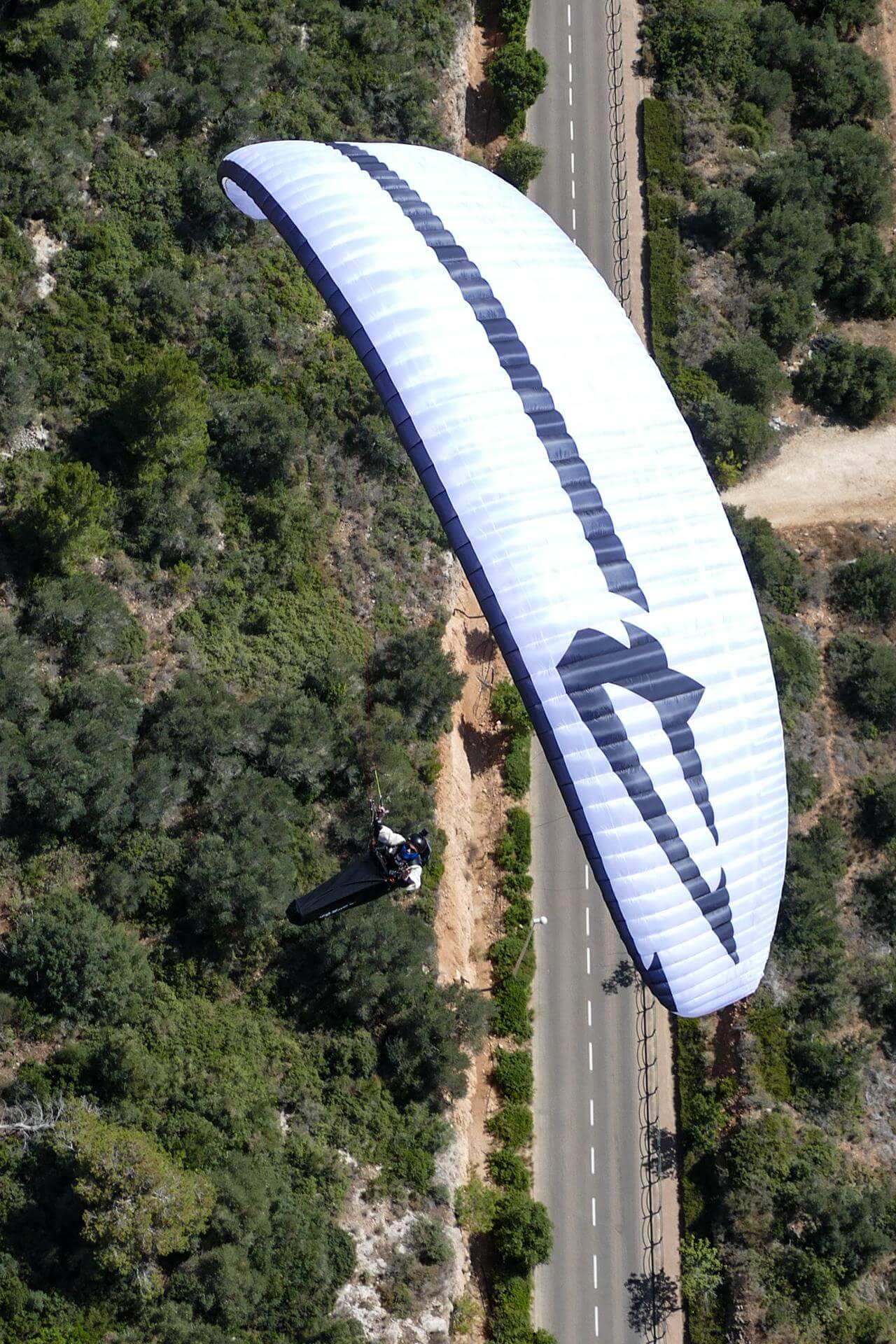 Apco Nestra True 2.5 Leiner - High EN-B - Gleitschirm XC mit 6er Streckung - Ansicht 2